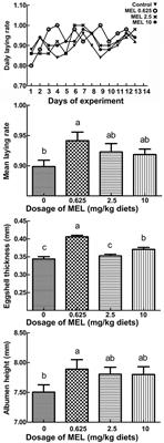 Melatonin Improves Laying Performance by Enhancing Intestinal Amino Acids Transport in Hens